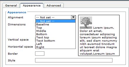 HTML toolbar Inser image alignment menu.JPG