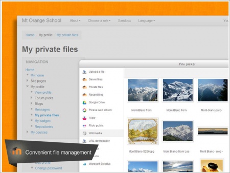 Effortlessly manage your files with Moodle’s drag and drop feature. Upload and download files even on mobile, and add files from cloud storage services including MS Skydrive, Dropbox and Google Drive. Working with files