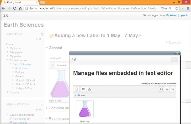 File:manage-embedded-files.png
