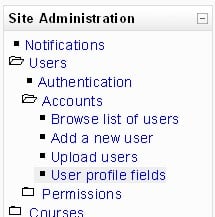 Link to the custom profiles interface from the site administration block