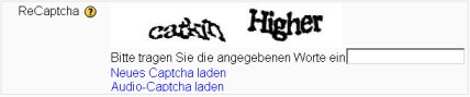 reCAPTCHA Eingabefeld