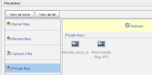File:Files File picker Private files 1.png