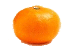 File:Orange transparent.gif
