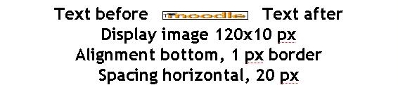 HTML Insert Image tool. result5.JPG