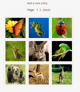 Photo album application in a grid view