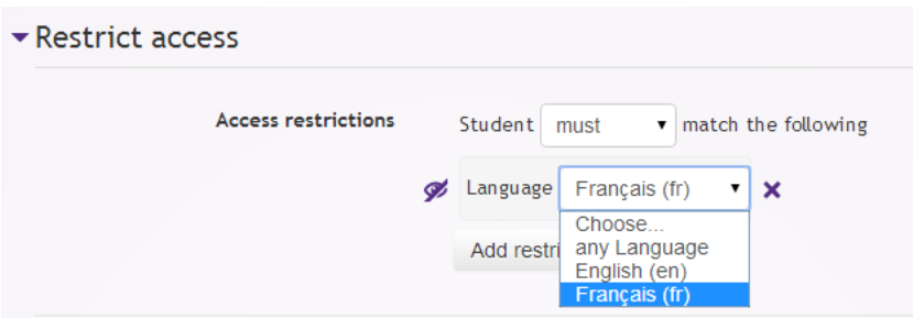 Restriction by language.png