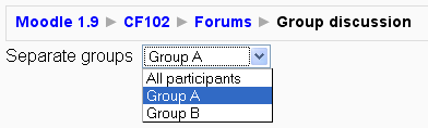 Fitxer:Forum set to separate groups.png