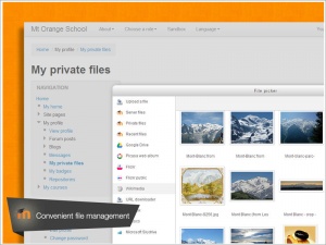 Convenient file management Drag and drop files from cloud storage services including MS Skydrive, Dropbox and Google Drive. Working with files