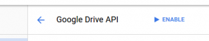 google-10-enable-drive.png