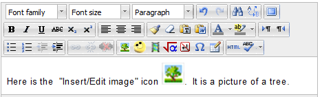File:HTML Insert Image tool result1.png