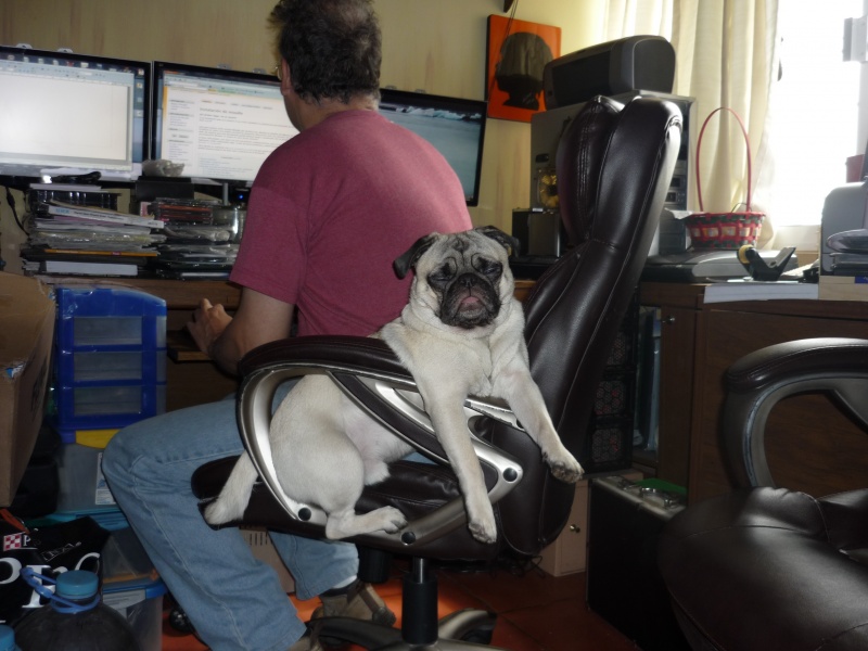 File:Translating Moodle is easy if someone has your back.JPG
