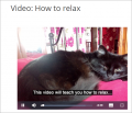 Thumbnail for version as of 11:47, 6 December 2016