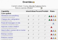 Roles OverRide tab.JPG