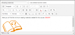 Typical content area. Shows HTML editor on top with text and emoticon in content