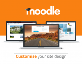 Customisable site design and layout Easily customise a Moodle theme with your logo, colour schemes and much more - or simply design your own theme. Themes