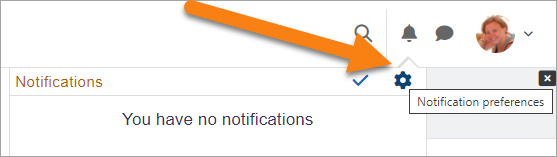 Accessing notification preferences