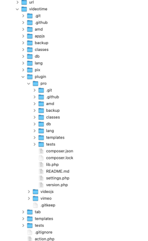 Video Time Folder Structure.png