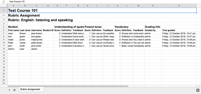 Rubric Graded Assignment