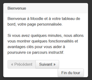 Multilang user tour in French.png