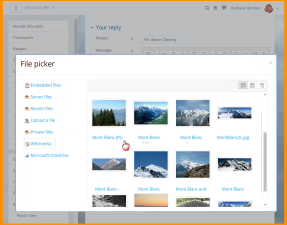 Convenient file management Drag and drop files from cloud storage services including MS OneDrive, Dropbox and Google Drive. Working with files