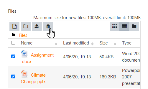Bulk delete private files