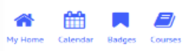 Archivo:Evolved theme recommended icons.png