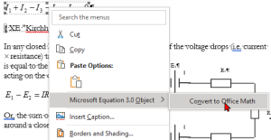 Context-sensitive menu when right-clicking on a Microsoft Equation 3.0 equation object
