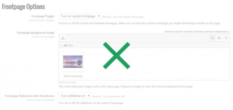 Archivo:Evolved theme frontpage options green cross.png