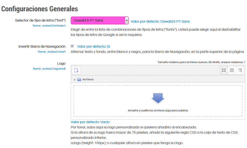Archivo:ES Evolved theme general settings page.png