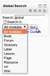 File:Global Search Block.png