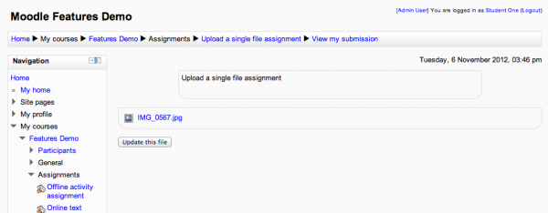 Screenshot of single upload assignment activity