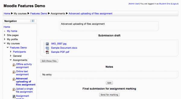 Screenshot of advanced upload assignment activity