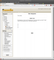 This example shows the full page view of the onlinetext submission.